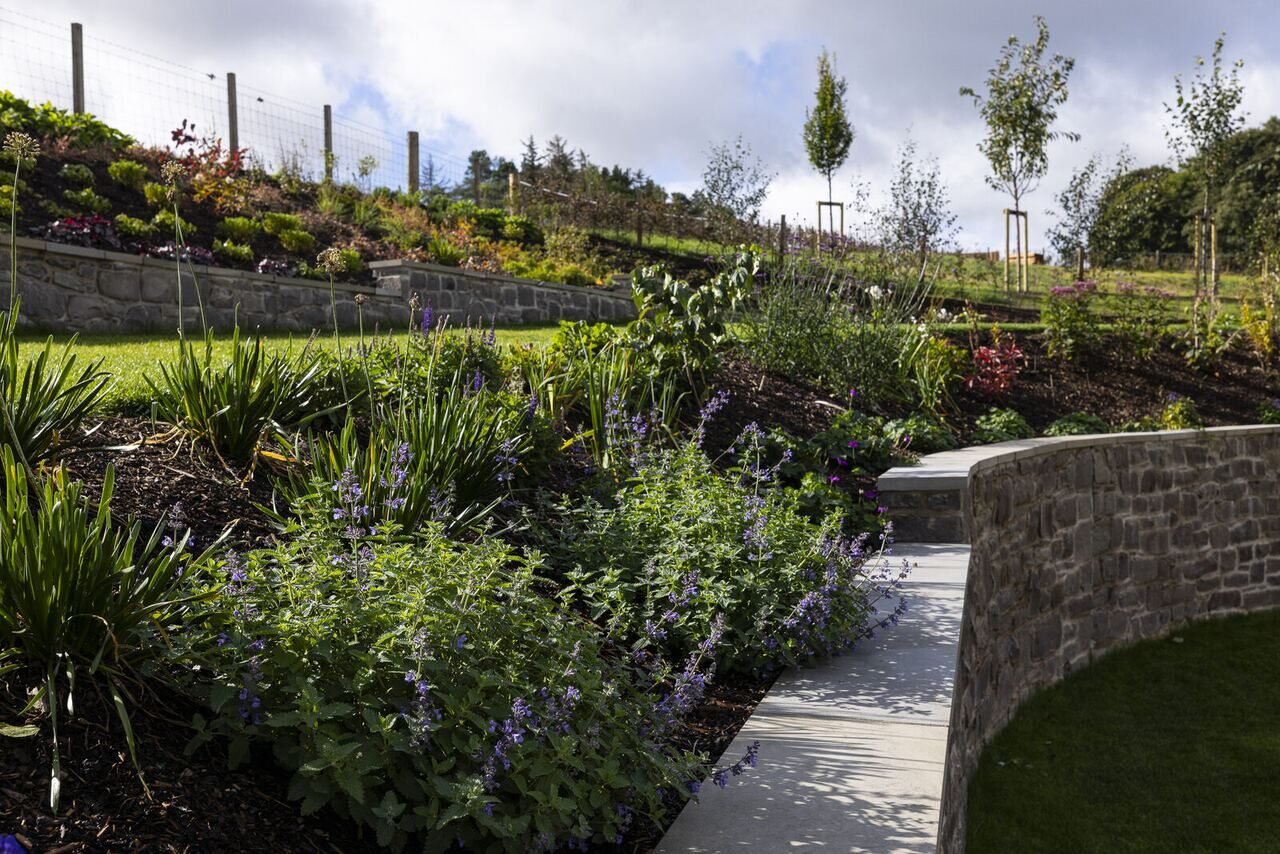 Wallace Collective outdoor space